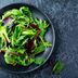 Lettuce 101: Your Guide to the Most Common Lettuce Varieties