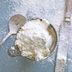 The Most Popular Types of Flour and When to Use Them