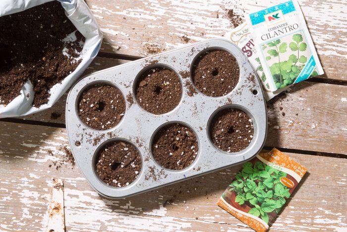 muffin tin