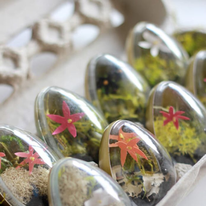 Tiny Terrariums