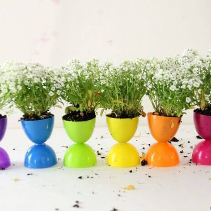 Mini Garden Display