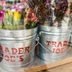 11 Things Trader Joe’s Employees Want You to Know