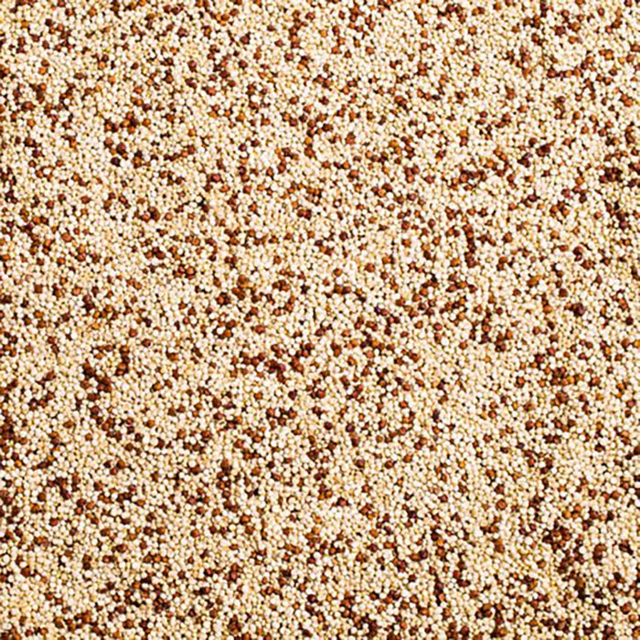 mixed color quinoa