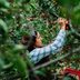 The Best Place to Go Apple Picking in Every State