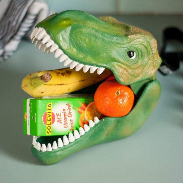 Dinosaur case