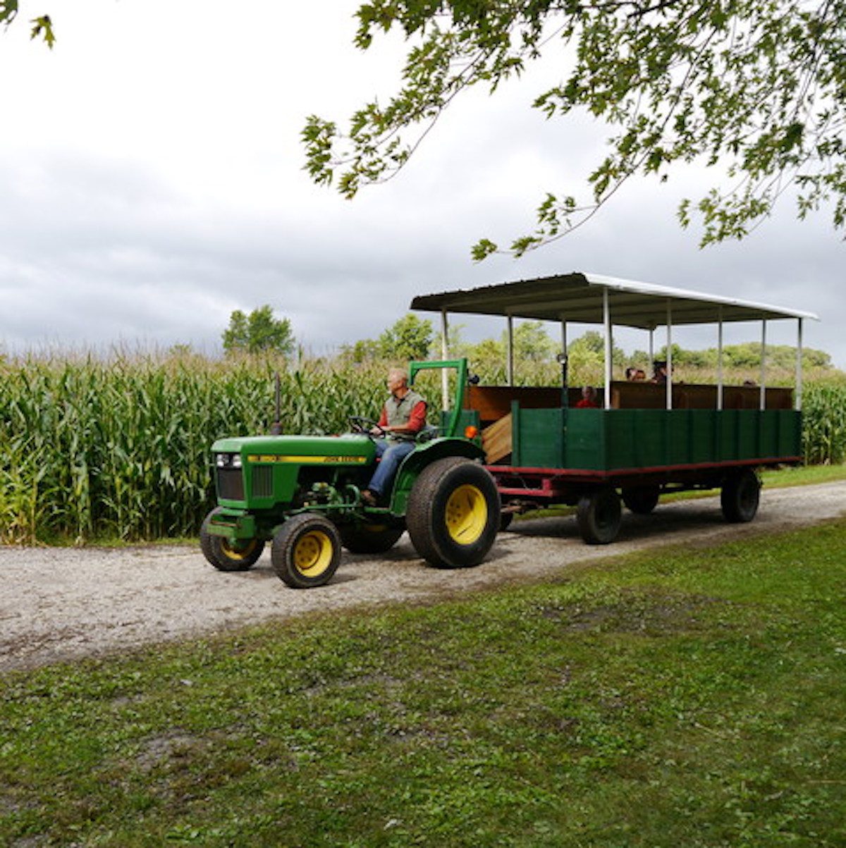 Kroll's Harvest Farm