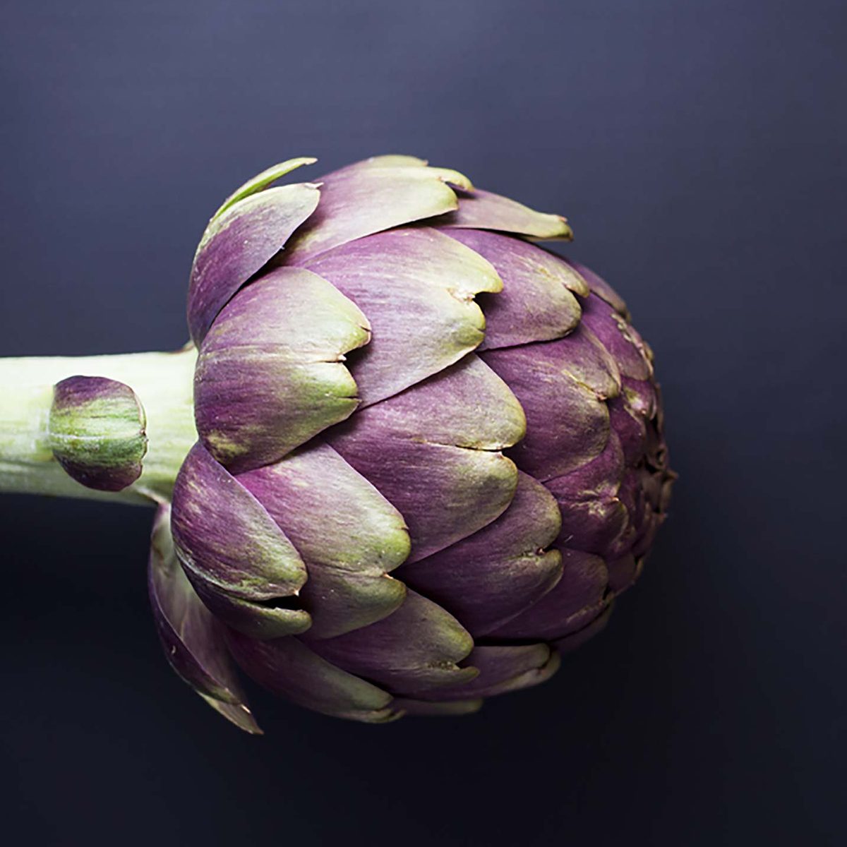 Artichoke