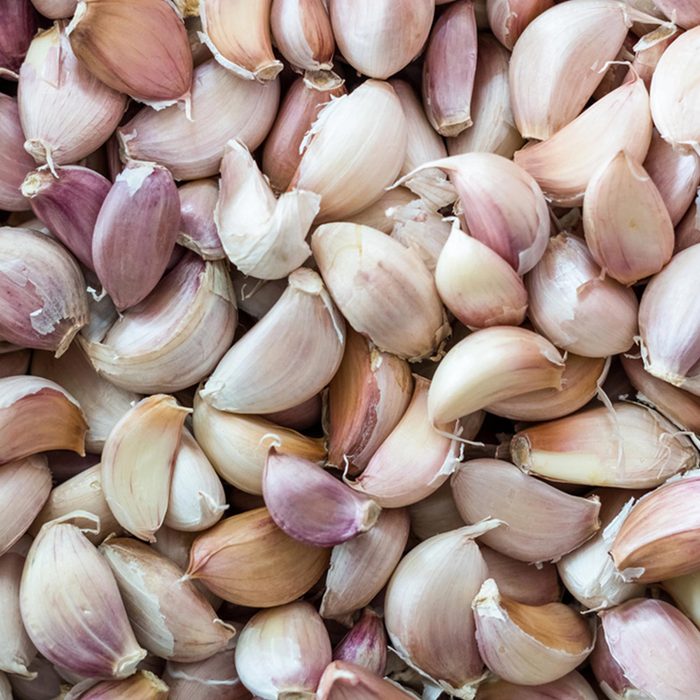 Garlic