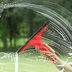 10 Window Cleaning Tips from a Pro