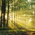 13 Ways Green Living Can Make You Healthier