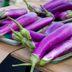 Japanese Eggplant Recipe With a Tomato, Olive and Feta Relish