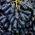 Moon Drop Grapes Are Back in Stores—Here's What You Need to Know