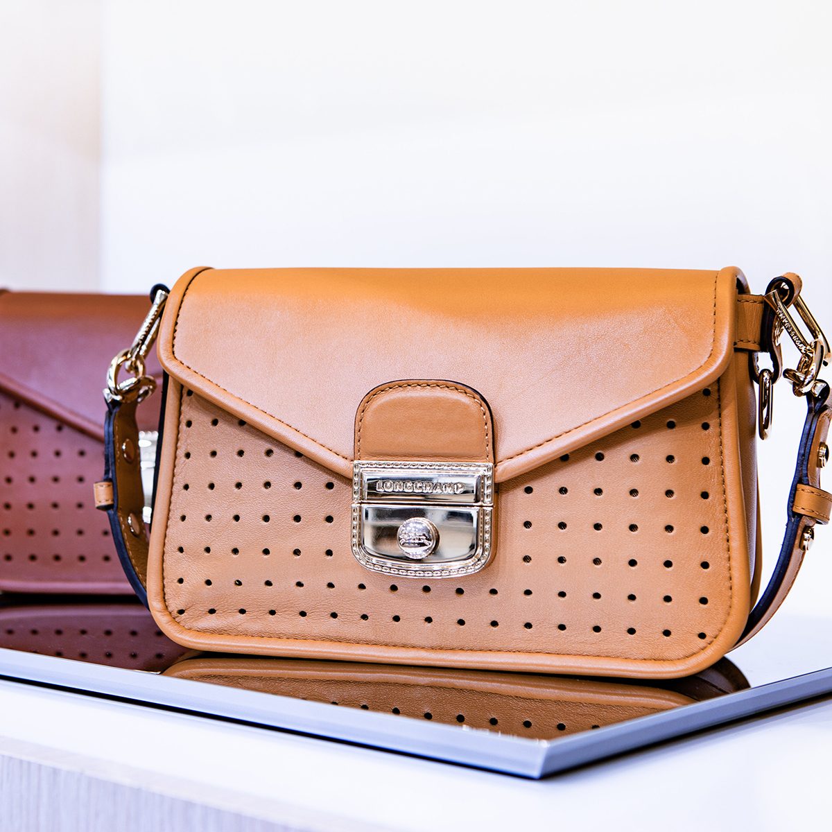 Longchamp Bags