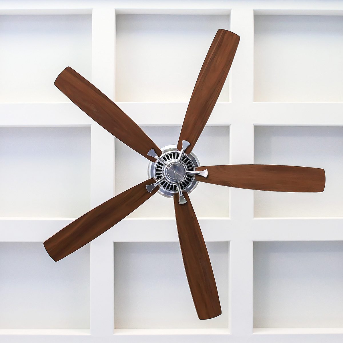 Ceiling Fan