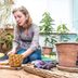 How to Grow a Pineapple