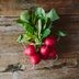13 Vegetables That Grow in Record Time