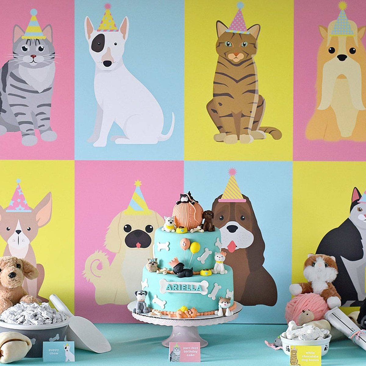 pet party