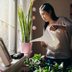 Your Favorite Chore, Based on Your Zodiac Sign