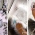 5 Shower Cleaning Hacks You Need to See Before You Tackle the Bathroom