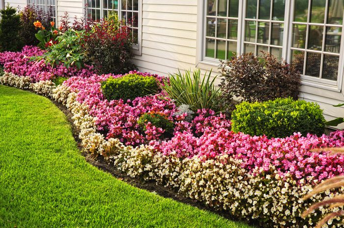 Colorful Flower Garden