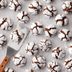 Gluten-Free Chocolate Crinkle Cookies