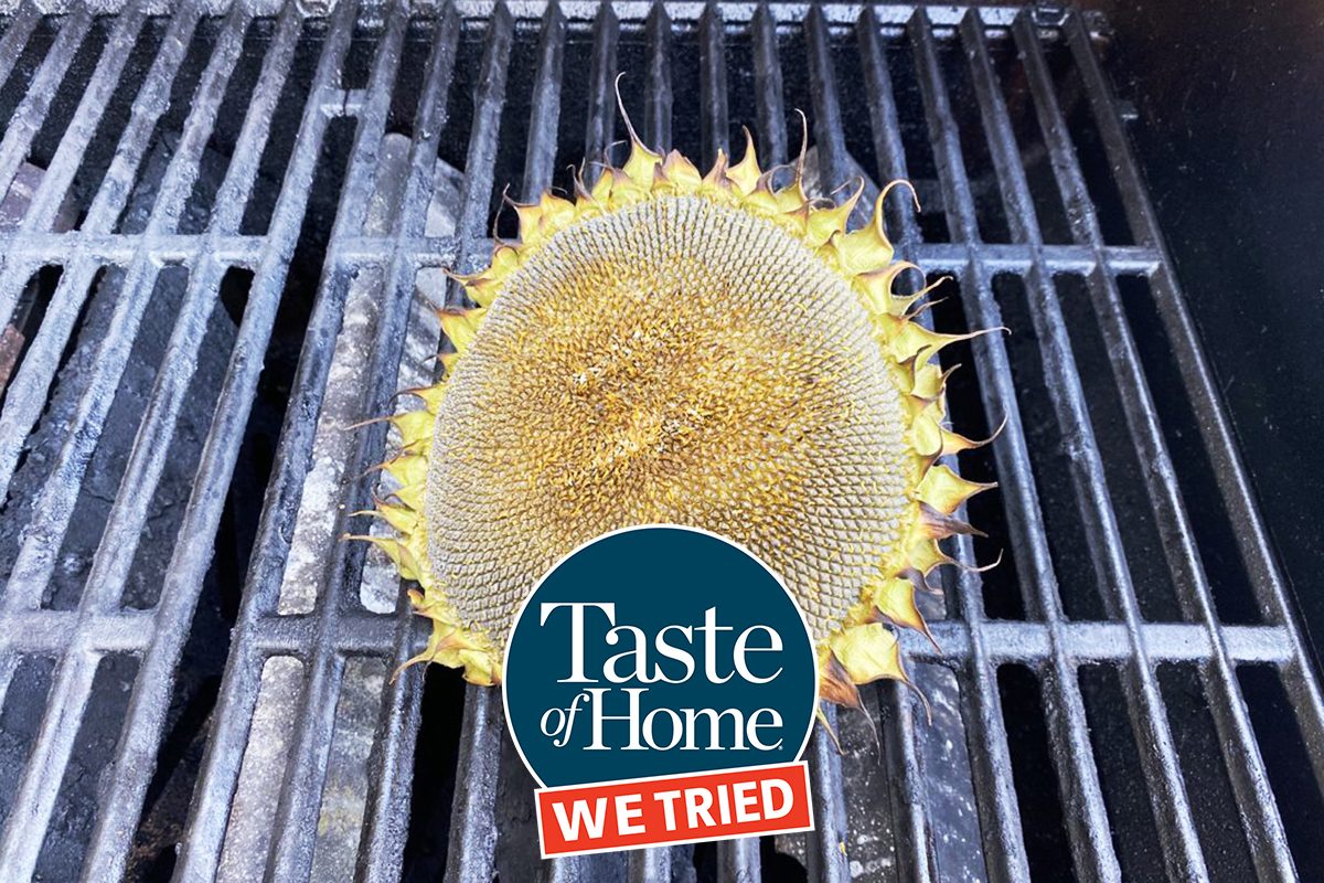 We Tried Treatment on Grilled Sunflower Head