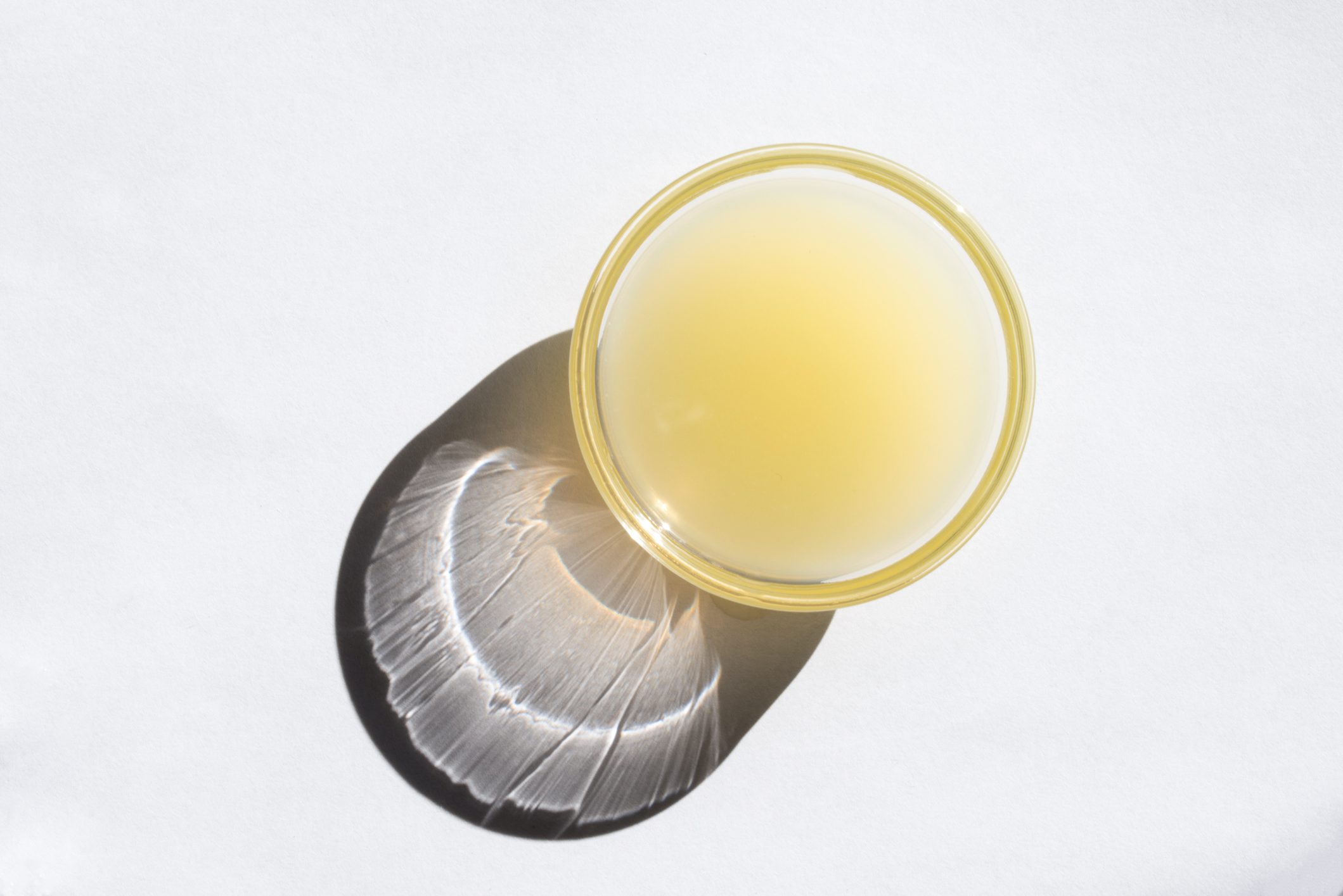 Lemon Juice in a Bowl