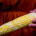 How to Make the Best Corn on the Cob