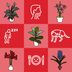 15 Toxic Plants You May Already Have at Home