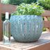 How to Use Wine Bottles to Water Plants While You're on Vacation
