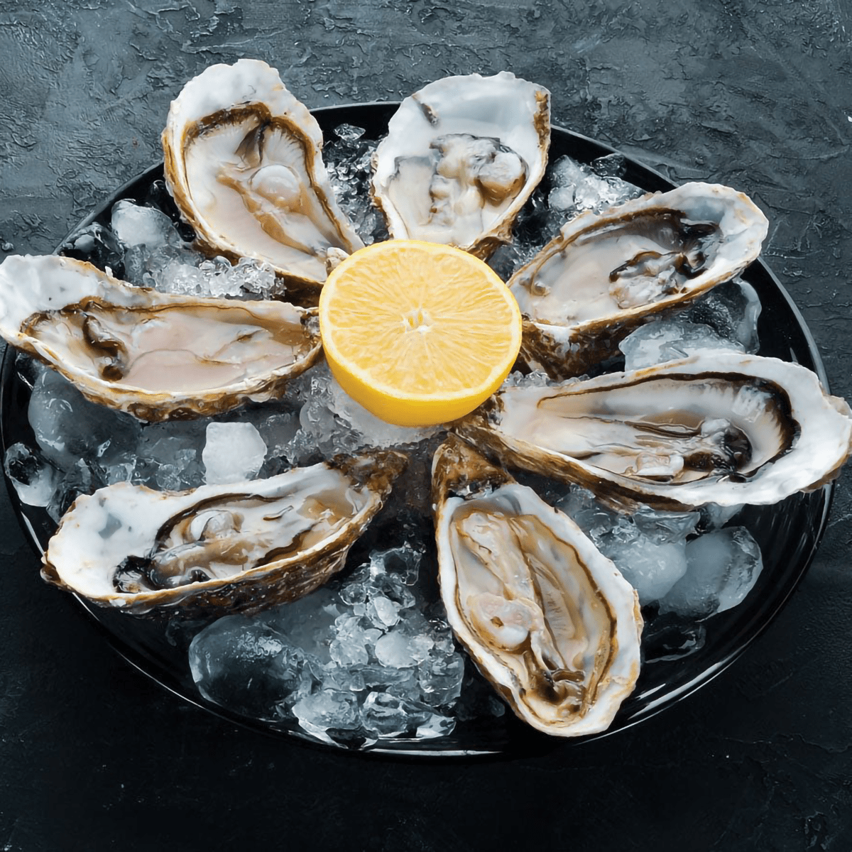 Fresh Oysters Pack
