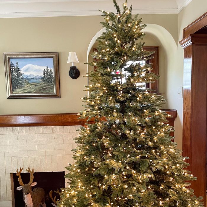 Balsam Fir Flip Tree