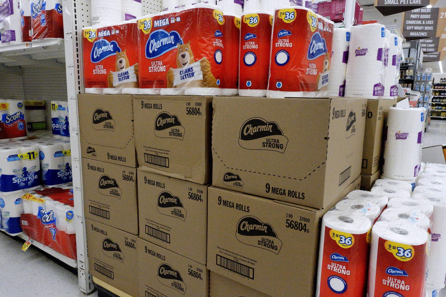 Toilet Paper Rolls
