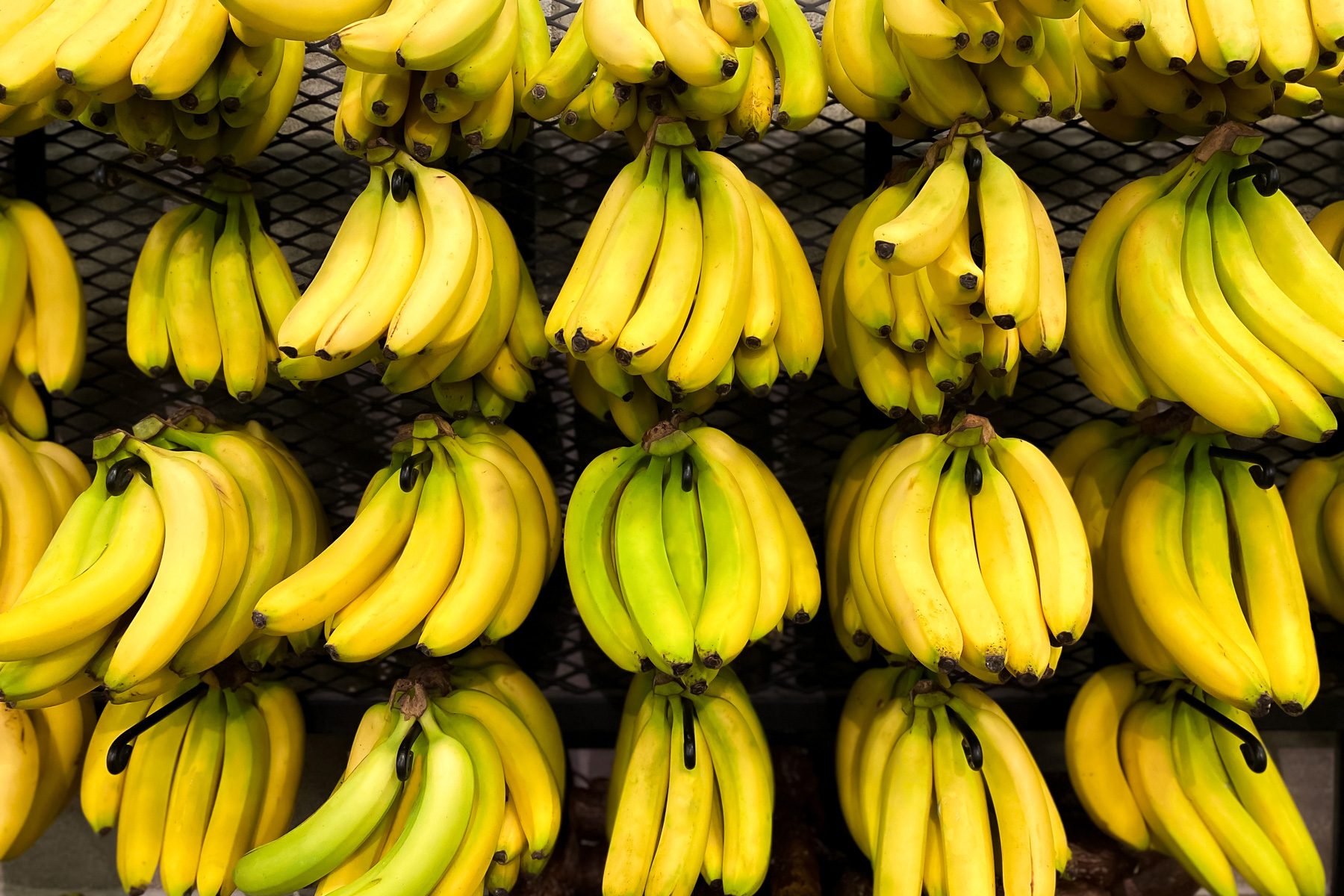 Bananas