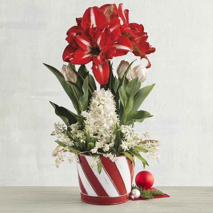 Holiday Bulb Garden