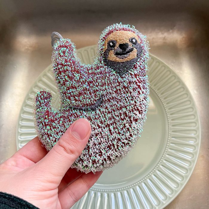 Toha24 Sloth Sponges Katie Bandurski 04 Ssedit
