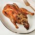 Stuffed Duck