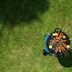 The Great Beef Grillable Contest